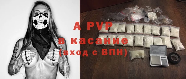дурь Покачи