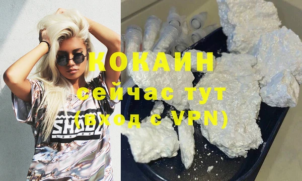прущие грибы Пестово