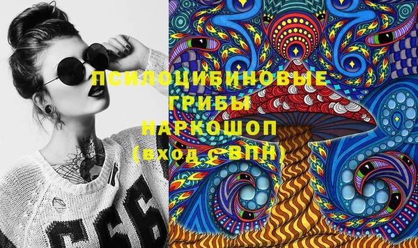 дурь Покачи