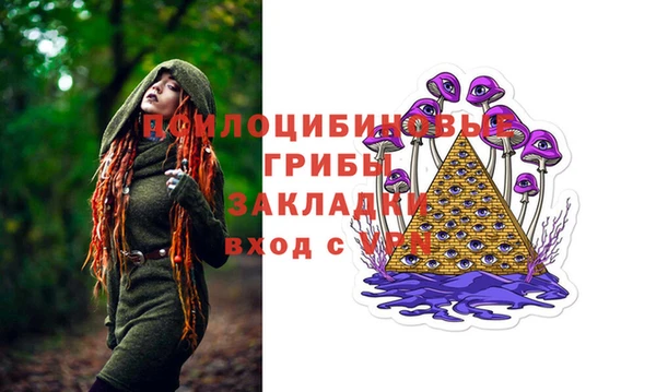 СК Покров