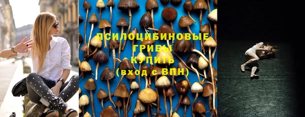прущие грибы Пестово