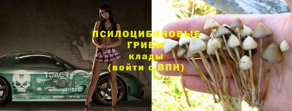 дурь Покачи