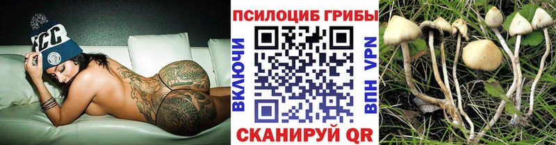 что такое наркотик  МЕГА зеркало  Псилоцибиновые грибы MAGIC MUSHROOMS  Грязи 