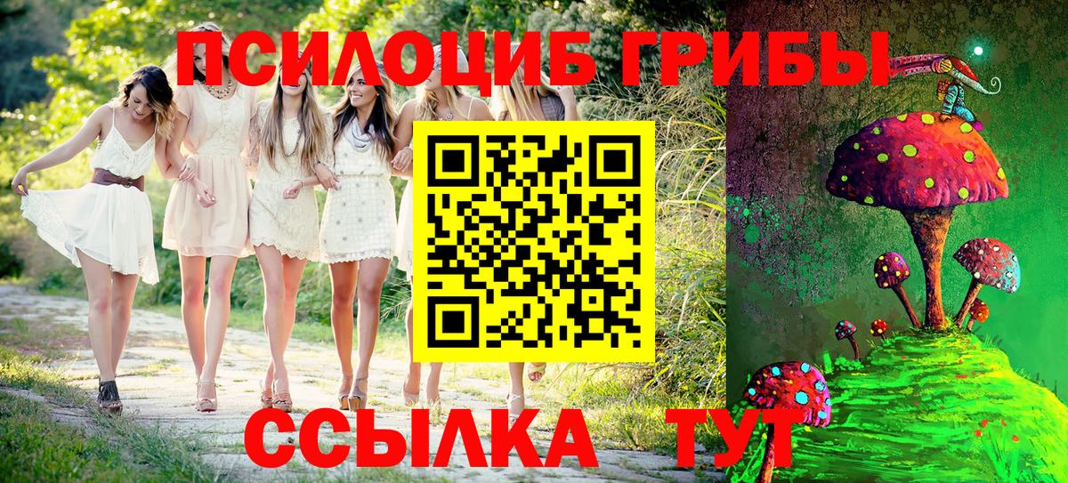 Псилоцибиновые грибы прущие грибы  закладки  Галлюциногенные грибы GOLDEN TEACHER  Грязи 